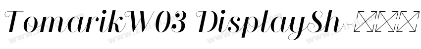 TomarikW03 DisplaySh字体转换